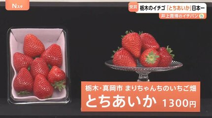 王者vs新品種「日本一おいしいイチゴ」は… 失敗しないおいしいイチゴの