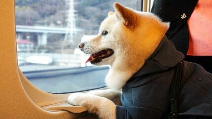 新幹線内で愛犬をケージから出せる！｢わんわんエクスプレス｣ 今年も