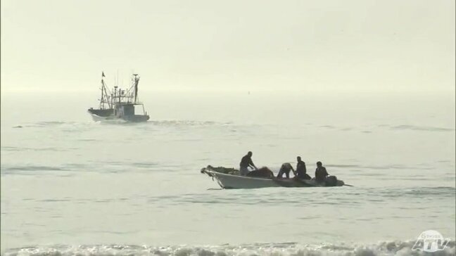 三沢市で復活!地引き網で150人 イワシやスズキ・ウグイも! 青森県|TBS NEWS DIG