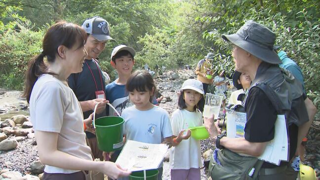 「都会にはいない虫がいた！」長野・安曇野市の沢で水生生物の観察ツアー|TBS NEWS DIG