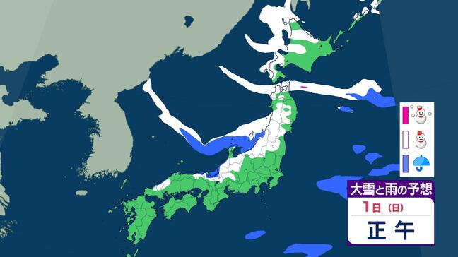 【雪情報】冬型ピーク越えるも日本海側は大雪継続 2月1日は「南岸低気圧」で太平洋側も雪か 寒波出口は2月3日頃 雨雪シミュレーション|TBS NEWS DIG