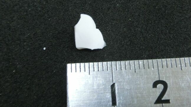 小学校の給食に“磁器の破片”が混入 小学4年の女子児童がよけて食べた後｢卵のカラが入っていた｣と報告し発覚 欠けた食器のカケラか 三重･伊勢市|TBS NEWS DIG