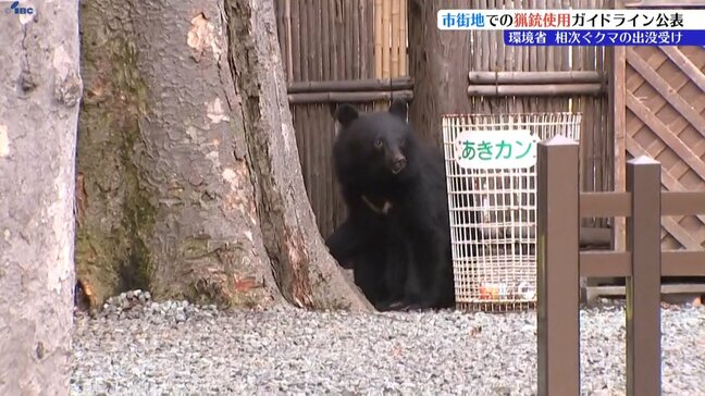 環境省 市街地での猟銃使用が可能になった場合の、発砲までの手順などを示したガイドラインを公表|TBS NEWS DIG