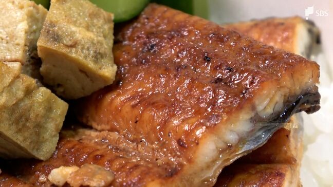 7月19日は「土用の丑の日」浜名湖育ちの最高級ブランド「でしこ」メスウナギに熱視線=静岡|TBS NEWS DIG