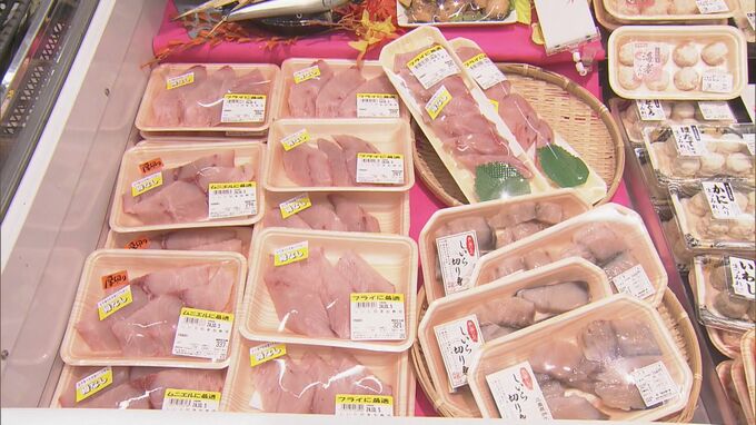 大きな頭が特徴の“シイラ”が増加 「安い 優しい味」と人気集める  伊勢エビ不漁の一方で… 三重|TBS NEWS DIG