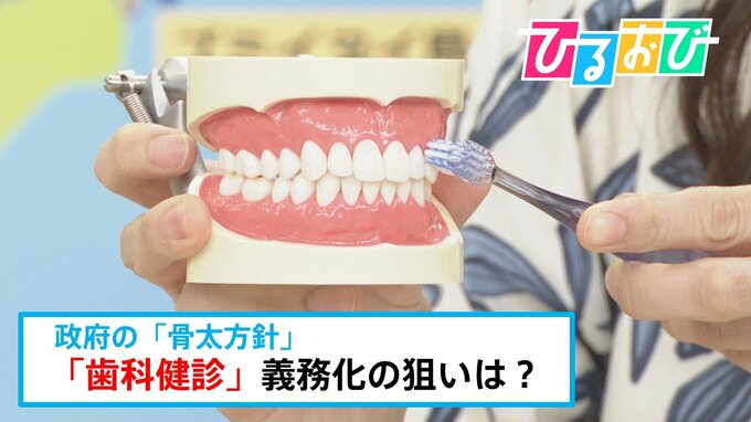 『国民皆歯科健診』義務化へ　あなたの“歯”の常識は正しい？歯周病予防クイズ【ひるおび】|TBS NEWS DIG