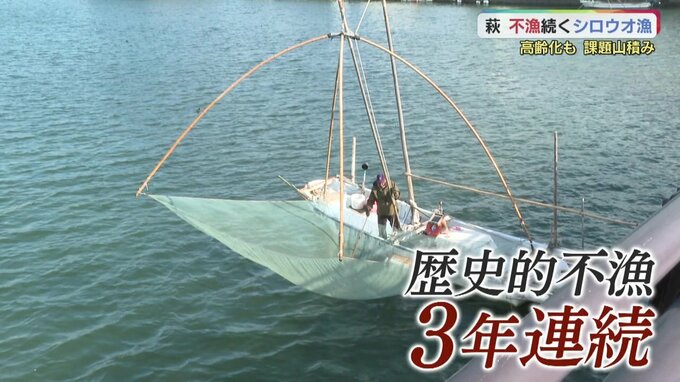 春の味覚に異変！躍り食い人気のシロウオ　3年連続歴史的不漁　進む高齢化　伝統の漁どう守る？　|　山口のニュース・天気・防災｜tys NEWS｜ｔｙｓテレビ山口