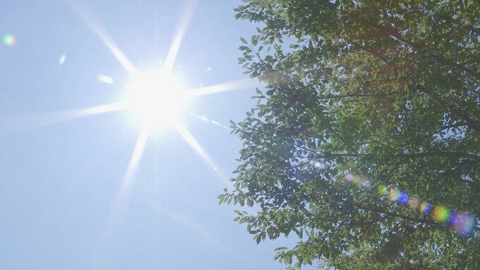 あす７日の熱中症警戒アラート　北海道、群馬県、静岡県、滋賀県、奈良県に今年初発表　こまめな休息や水分・塩分の補給を呼びかけ|TBS NEWS DIG
