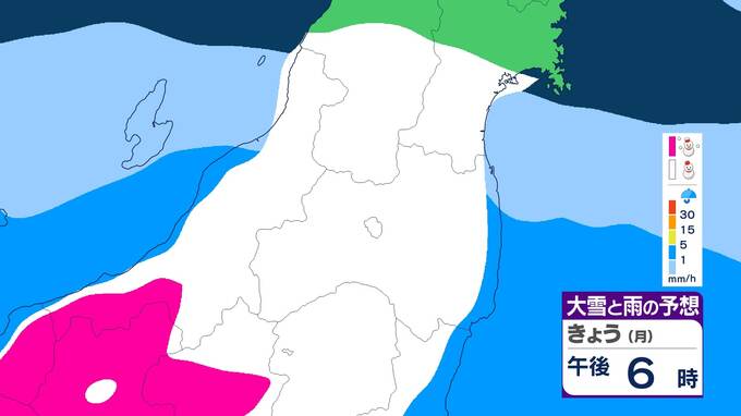 【大雪情報】南岸低気圧で浜通り平地でも最大20センチ降雪か　警報級の大雪の可能性も　福島【5日午前9時半現在】|TBS NEWS DIG