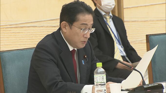 配偶者へのDV対策強化へ　岸田総理「配偶者暴力防止改正法案を早期の国会提出」