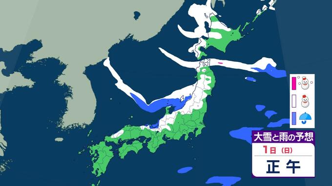 【雪情報】冬型ピーク越えるも日本海側は大雪継続　2月1日は「南岸低気圧」で太平洋側も雪か　寒波出口は2月3日頃　雨雪シミュレーション|TBS NEWS DIG