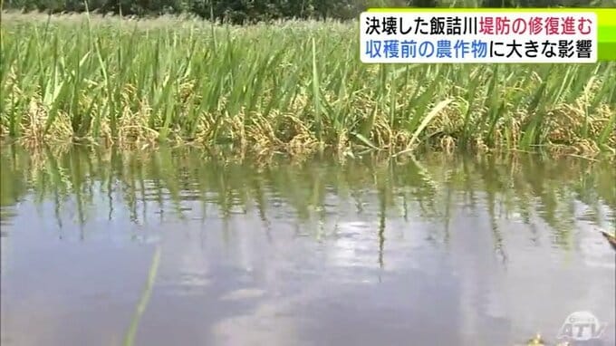 「経験したことない…せっかくここまできて…」収穫間近の農作物にも大きな影響が　農家からは悲鳴　大雨で川が決壊の青森県五所川原市　早期復旧に向けて堤防の修復に向けた作業は24時間態勢で実施|TBS NEWS DIG