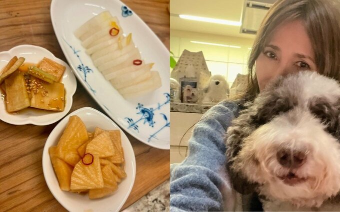 【工藤静香】旬の大根を漬けて「福神漬け風」「白いのはシンプル」愛犬エトとほっこり|TBS NEWS DIG