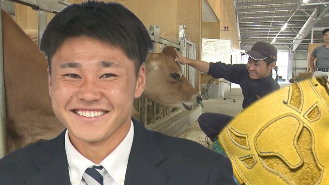 ロッテ5位指名の廣池康志郎 “牛が好きすぎる” 異色の投手　牛のグローブは今後も使う？球団のイメージは？　|　熊本のニュース｜RKK NEWS｜RKK熊本放送