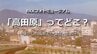 高田原ってどこ？【懐かしの風景と今はない地名・RKKフォトミュージアム#06】～RKKニュースミュージアム～ 熊本　|　熊本のニュース｜RKK NEWS｜RKK熊本放送