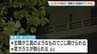 滋賀・彦根市で空き巣相次ぎ警察が注意呼びかけ「連休中の留守は施錠徹底を」　玄関はこじ開けられ窓ガラス割られ…高級外車も被害に　被害総額は約1400万円相当　|　MBSニュース | 関西の最新ニュースを分かりやすく。
