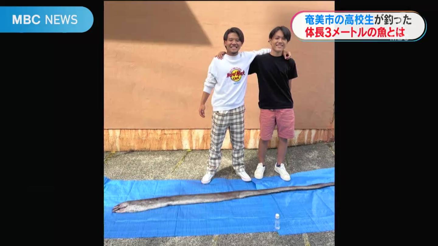 通常の３倍 奄美の高校生が港で釣り上げた 世界記録級 の長い魚 Tbs News Dig