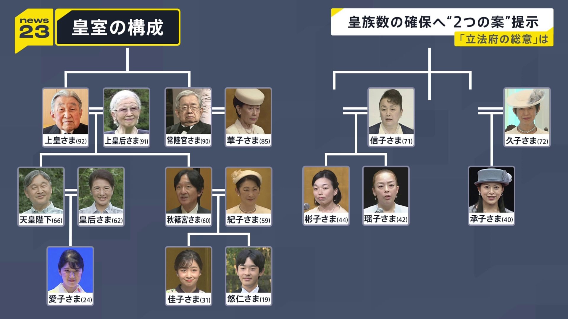 皇族数の確保策”とりまとめ案 「女性皇族の結婚後の身分保持」や「旧