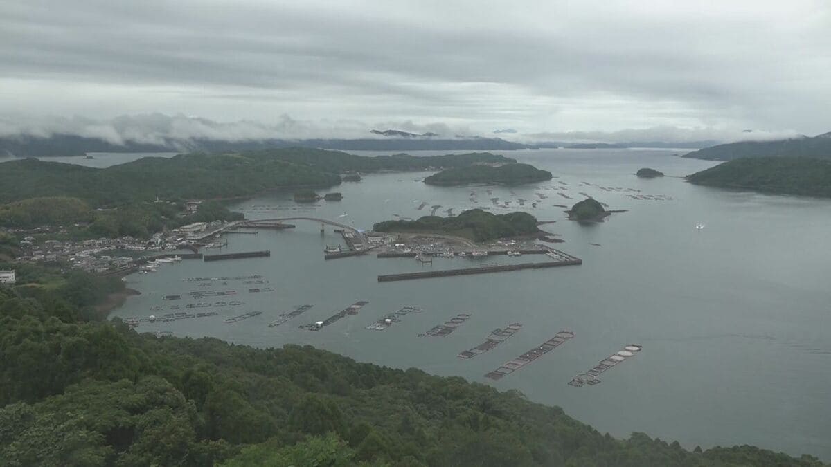 八代海の赤潮被害12億8000万円に　長島町の養殖ブリ31万匹死ぬ　鹿児島