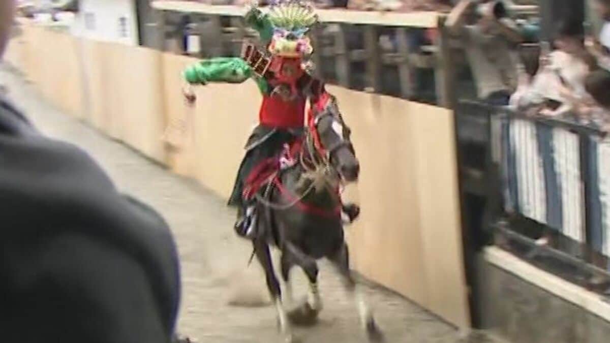 人馬一体で約2メートルの土壁を駆け上がる「上げ馬神事」19歳若者が700