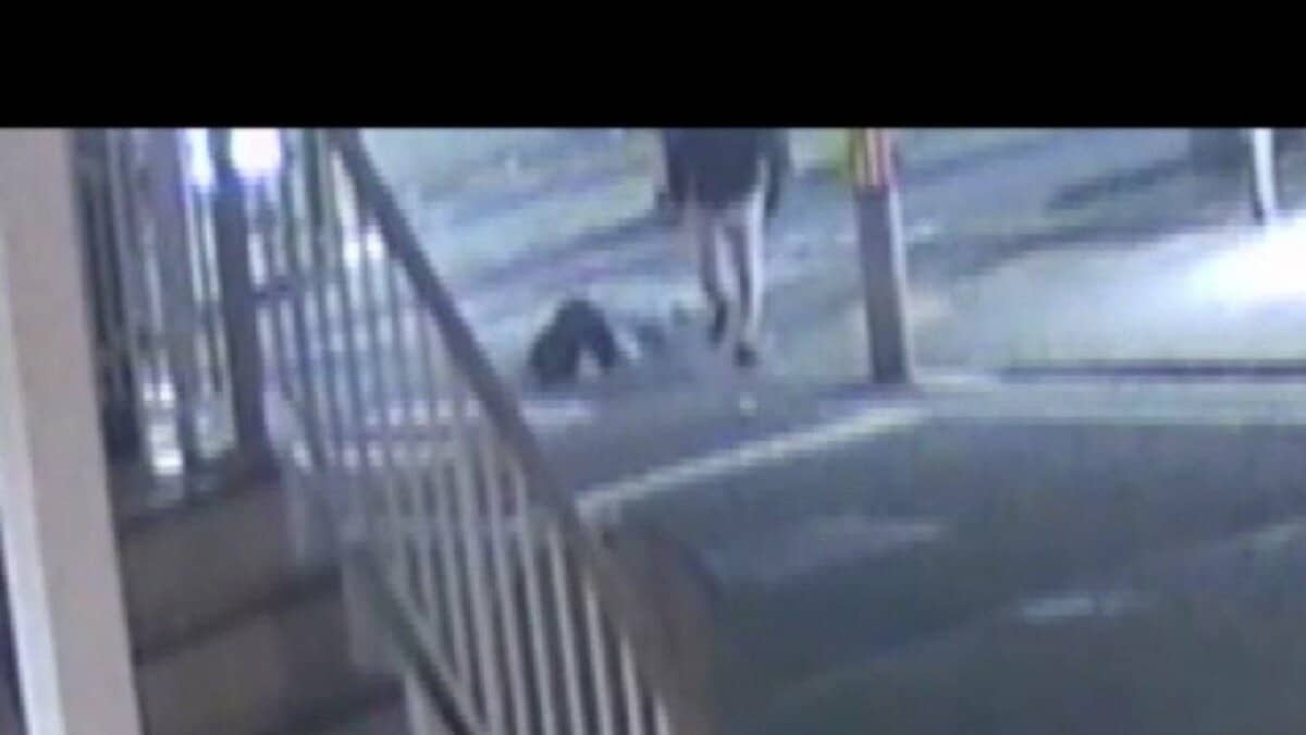 【中古】 四国松山殺人事件 未明の市街地中心部で女性を切り付けた男を傷害罪などで起訴 逮捕容疑