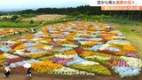 【ドローン映像】くじゅう花公園 パステルカラーの花のじゅうたん広がる 大分・竹田市 | 大分のニュース|OBS NEWS|大分放送