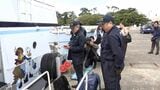 19人負傷の遊覧船衝突事故 運輸安全委員会が調査 被害者への聞き取りも=静岡・沼津港 | 静岡のニュース | SBSNEWS | 静岡放送