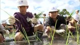 地元の特産品に関心を　延岡市の小学生が「空飛ぶ新玉ねぎ」の苗植えを体験|TBS NEWS DIG