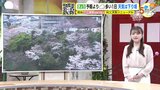 【あす4/3(水) 広島天気】まとまった雨に　局地的に１時間３０ミリの激しい雨も　通勤・通学時間帯に雨脚強まる　時間に余裕をもって|TBS NEWS DIG