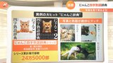 累計発行部数は24万5000部「にゃんこ四字熟語辞典」とは?【猫の日】|TBS NEWS DIG