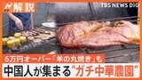 中国人が集まる“ガチ中華農園”　“ガチ中華”に野菜も提供する本場の味が大人気【Nスタ解説】|TBS NEWS DIG