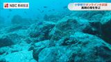 水中ドローン映像使い教室で “オンライン水族館” 光のカーテンに歓声|TBS NEWS DIG