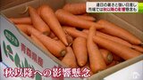 「売り物にならない」メロン日焼けで価格下落　長引く暑さと日差し　野菜や果物　秋以降への影響懸念　青森県|TBS NEWS DIG