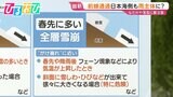 寒暖差の激しい冬 なだれや落雪に注意 春先に多い「全層雪崩」の危険も【ひるおび】|TBS NEWS DIG