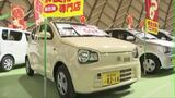 ２００台の軽自動車が一堂に「まつもと軽まつり」車の点検を見学できるコーナーも|TBS NEWS DIG