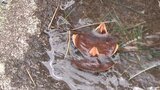 寒い朝 最低気温は宮古・区界-13.5℃ 盛岡も-3.9℃ 厚手のコートで卒業式に向かう人も 岩手|TBS NEWS DIG