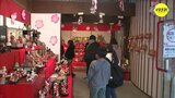 ガンダム・オリンピック雛も　商店街一帯で春を呼ぶ「天領上下ひなまつり」 店先などに5000体の雛人形　|　RCC NEWS | 広島ニュース | RCC中国放送