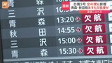 【空の便】台風5号の影響でJAL・ANA計95便が欠航　13日もANAが3便欠航を発表　午後4時現在|TBS NEWS DIG