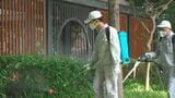 中国南部で「チクングニア熱」が流行 直近4週で1万人超の感染者|TBS NEWS DIG