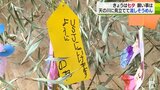 「おかねもちになりたい」「ＵＳＪにいきたい」願い事書いた短冊飾り付け　青森県むつ市|TBS NEWS DIG