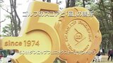 強い横風はプロでも難しい?風が強い日が多かった「ダンロップフェニックストーナメント」気象予報士がデータとスコアを検証してみた | MRTニュース | MRT宮崎放送