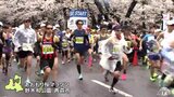 濡れる桜のもと４０００人が駆け抜ける「あおもり桜マラソン」　青森県青森市|TBS NEWS DIG