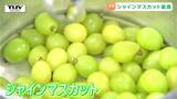 「うま！」「甘い！」お目当てはシャインマスカット！ 南陽市で特産品を使った給食を提供！（山形）|TBS NEWS DIG