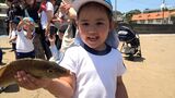 「楽しい」「プニプニする」地引き網漁を子どもたちが体験 生き物や環境の大切さを学ぶ=静岡|TBS NEWS DIG
