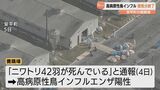 高病原性鳥インフル殺処分終了　北海道安平町の養鶏場|TBS NEWS DIG
