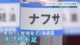 【ナフサ不足】墓石から住宅、鮮魚店まで影響深刻　価格転嫁率37.5％止まり　帝国データバンク「コロナ初期に近い」長期化で倒産・廃業リスク高まる|TBS NEWS DIG