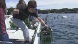 深さ25メートルの海底で日本酒を熟成させる「海底熟成酒」づくり 温度変化が少なく波の波動で熟成 深みのあるまろやかな味わいに 三重・志摩市 | 名古屋・愛知・岐阜・三重のニュース【CBC news】 | CBC web