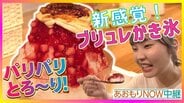 パリパリとろ~り!新感覚のかき氷が弘前市に登場 トッピングは『ブリュレ』自家製カスタードクリームに焦げ目をつけて「とろけるような食感」【わっち!!あおもりNOW中継】 | 青森のニュース│ATV NEWS│青森テレビ