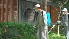 中国南部で「チクングニア熱」が流行　直近4週で1万人超の感染者| TBS CROSS DIG with Bloomberg