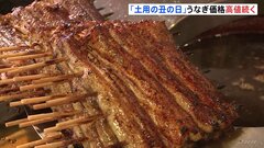 うなぎ高値続く「国産うなぎのかば焼きは100g1468円」土用の丑の日| TBS CROSS DIG with Bloomberg